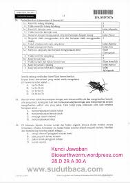 Nov 21, 2009 · d. Soal Un Ipa Smp Kunci Determinasi Masnurul
