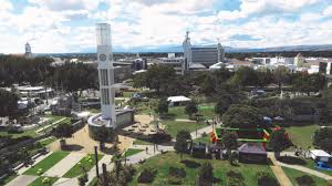 Cleese (altitude 45.2m), in retaliation after john cleese described palmerston north as the suicide . Book Of The Week O Palmerston North O God Newsroom