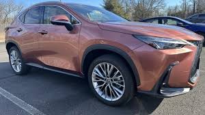 Image result for Autumn Shimmer 2017 NX