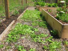 Check spelling or type a new query. Winterize Your Garden To Prepare It For Spring Gardeninminutes Com