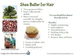 Anyone can slip the word 'natural'. Benefits Of Shea Butter For Hair Shea Butter Hair Shea Butter Moisturizer Shea Butter