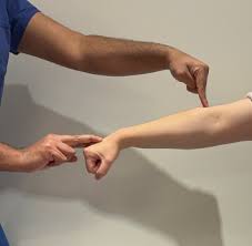 Image result for Elbow Extension Test