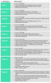Image result for Prostate Cancer Staging