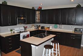 A nice thing about that method is it darkens the cabinets without over darkening the grain. Java Stained Oak Cabinets With Light Honey Oak Floors Can T Change My Floors Yet But The Dark W Kitchen Cabinet Design Kitchen Design Custom Kitchen Cabinets