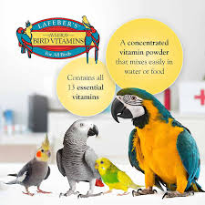 Morning bird, vetafarm, higgins, hemp seed. Lafeber S Avi Era Bird Vitamin Powder For All Birds 1 25 Oz Petco