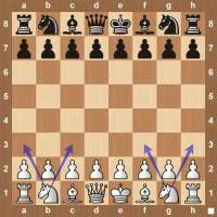 Check spelling or type a new query. Chess Pieces Board Setup Movement And Notation