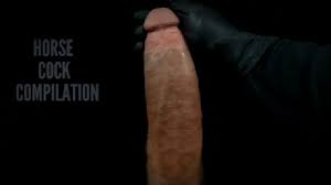 Clipes de galo de cavalo  stripper masculino acaricia grande galo branco  POV Ejaculação e punheta