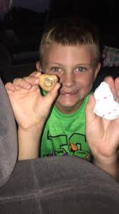 2 foraging bees found in Willington and Hyde Park