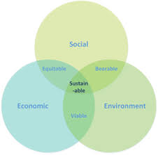 What Is Sustainability Sustainable Development Sustainability Economic Environment