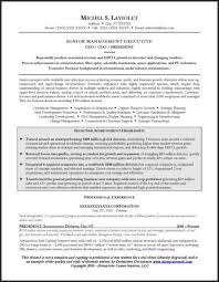 ceo resume example page 1 resume