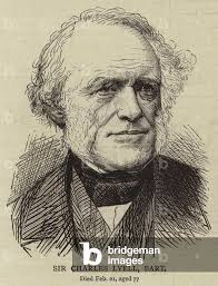 Image of Sir Charles Lyell, Baronet (engraving) by English School, (19th  century)