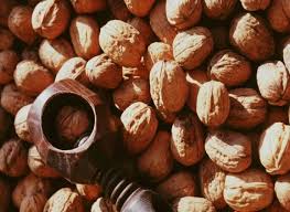 Recolter Et Conserver Les Noix Noix Fraiches Noix Conservation Des Aliments