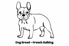 Download Dog Breed French Bulldog Svg Cut File By Creative Fabrica Crafts Creative Fabrica PSD Mockup Templates