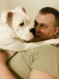 My Father n law and Mother n law's Boxer Bruno just crossed the rainbow  bridge please keep us in your thought