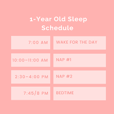 12 Month Old Sleep Schedule (Naps & Bed) - The Postpartum Party
