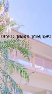 когда я встречу свою любовь по дате рождения онлайн Affirmaciya In 2020 Plants
