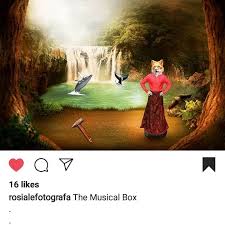 Scott colan (@scott_colan) • Instagram photos and videos