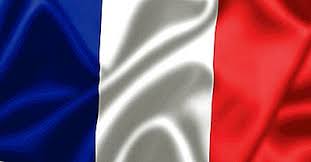 9` în franţa este interzis să dai numele napoleon unui porc. Ce Inseamna Culorile Steagului Francez 2021