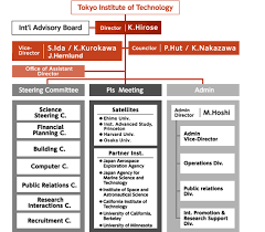 Organizational Chart Elsi