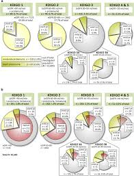 Classification utis according to site. Kdigo Classification Based On Egfr Proteinuria And Hematuria A Download Scientific Diagram