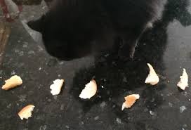 Scattering Breadcrumbs