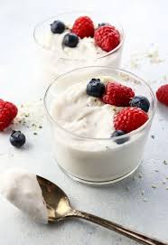 instant pot coconut milk yogurt vegan