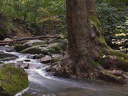 Maybe you would like to learn more about one of these? Indian Well State Park A Connecticut State Park Located Near Ansonia Bethel And Bridgeport