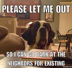 St Bernard Meme She Loves To Bark St Bernard Dogs Funny Dog Memes St Bernard Puppy