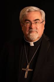 Meet our Bishop Panelists