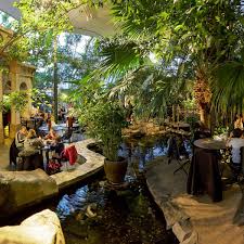 Market Dome De Huttenheugte Activiteiten Park Tropisch