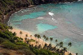 It's located in the central pacific ocean, southwest of the continental u.s., southeast of japan, and northeast of australia.it is made up of over 100 islands, and of the eight main islands that make up the aloha state, only seven are inhabited. Hawaii Without Tourists Amid Covid 19 Photos Los Angeles Times