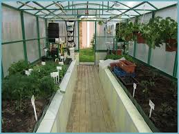 как правильно сделать грядки в теплице 3 на 6 Obustrojstvo Teplicy Iz Polikarbonata S Vysokimi Gryadkami Teplica Ogorod Sad