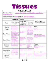 Maybe you would like to learn more about one of these? What Is Tissue Lisle Cusd 202
