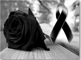 Pin En Rosas