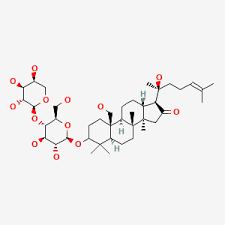 Image result for Bacopa monnieri