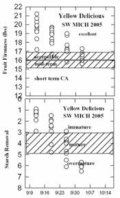 apple maturity guidelines msu extension