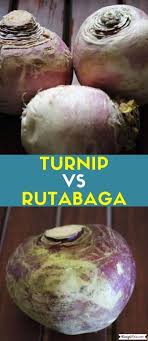Turnip Vs Rutabaga Vs Swede Vs Neeps Recipe This In 2020 Turnip Egg Salad Rutabaga