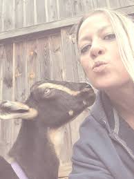 Goat playground construction progress with ramps to build