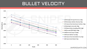 308 Win Ballistic Chart