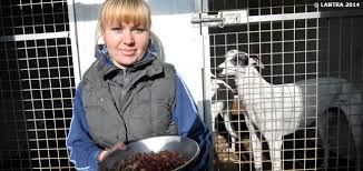 Here are just a few great reasons. Planit Job Profiles Animal Care Assistant Work With Animals