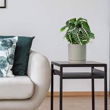 Impressive large indoor plant pots crafted of ceramic or plastic (with bottom drain holes). The Best Pots And Planters On Amazon 2021 The Strategist New York Magazine