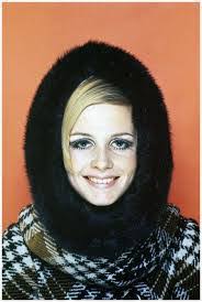 Anita Bott's Instagram, Twitter & Facebook