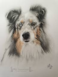 Zeichnung Hund Polychromos Zeichnen Hund Zeichnungen Von Maria Wilsdorf Bei Kunstnet