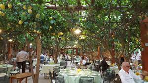 Da Paolino Lemontrees Capri Island Trip Advisor Capri