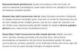 ruyada kopek gormek ne demek diyanet ve islami tabir isaretler islam kopek