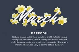 Birth Flower For Each Month Meanings Birthday Flowers By Month Proflowers Blog Birth Month Flowers March Birth Flowers Birthday Month Flowers