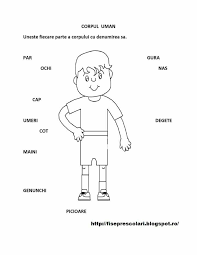 Corpul Uman Fisa Education Lessons Activities Romanian Language