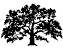 Small Live Oak Tattoo