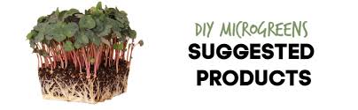 We did not find results for: Amazon Com Re Usable Self Watering Mini Microgreens Growing Trays 5 Trays For Any Soil Or Hydroponic Microgreens Growing Kit Grow Micro Greens Wheatgrass Or Cat Grass Easy Countertop Sprouting Tray