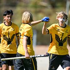 Futsal Park in Blair Athol is a brand new sports area which aims to  transform the old dilapidated netball courts into a small-sided community  football facility, with at least three fully lit
